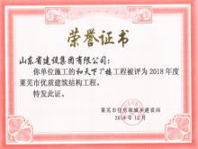 和天下7#樓獲2018年萊蕪市優質建筑結構工程